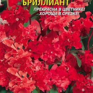 Кларкия Бриллиант изящная 0,1 г, Плазменные семена