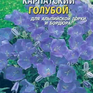 

Колокольчик Голубой карпатский 0,05 г, Плазменные семена