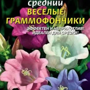 

Колокольчик Веселые граммофончики средний 0,1 г, Плазменные семена