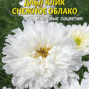 

Космея Дабл Клик Снежное облако 10 шт Плазменные семена