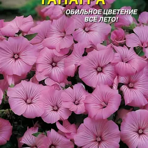 Лаватера Танагра 0,3 г, Плазменные семена