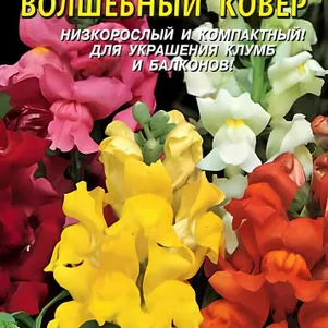 

Львиный зев Волшебный ковер 0,2 г, Плазменные семена