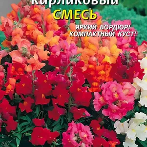 Львиный зев Смесь карликовый 0,02 г, Плазменные семена