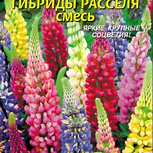 

Люпин Расселя смесь многолетний гибрид 0,45 г, Плазменные семена