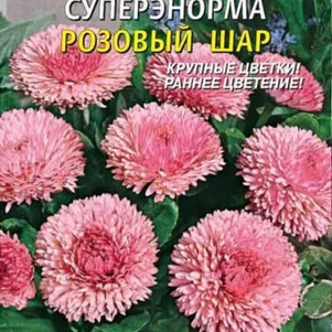 Маргаритка Розовый шар СуперЭнорма 0,05г, Плазменные семена