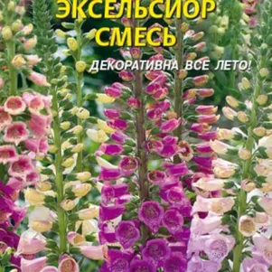 Наперстянка Эксельсиор смесь 0,1 г, Плазменные семена
