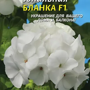 

Пеларгония Бланка F1 зональная 3 шт, Плазменные семена