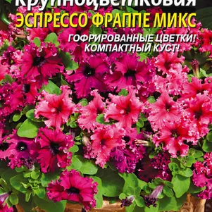 Петуния Эспрессо Фраппе Микс F1 крупноцветковая 10 шт, Плазменные семена