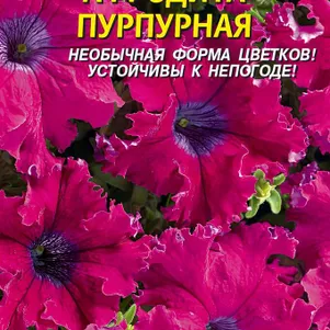 Петуния Афродита Пурпурная крупноцветковая F1 10 шт Плазменные семена 89₽