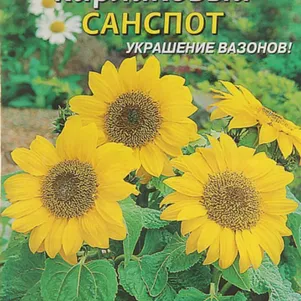 Подсолнечник Санспот карликовый 05 г Плазменные семена 33₽