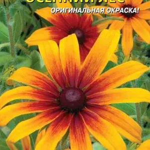 Рудбекия Осенний лес 0,1 гр Плазменные семена