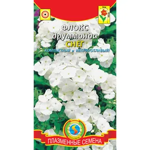 

Флокс Друммонда Снег 0,1 г, Плазменные семена