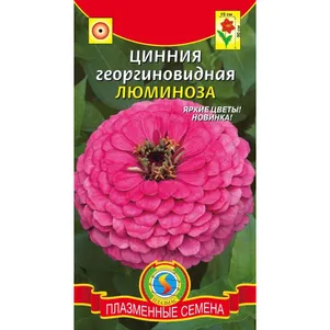 

Цинния Люминоза георгиновидная 0,3 г, Плазменные семена