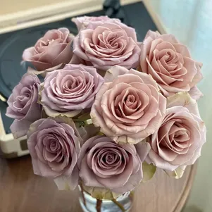 Роза Амнезия чайно-гибридная