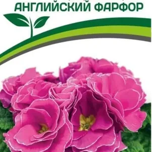 

Примула Английский Фарфор F1 махровая (Тет-А-Тет) 5 шт. Семена Партнер