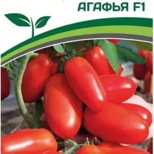Томат Агафья F1 0,1 г. Семена Партнер