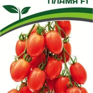 Томат Пламя F1 10 шт. Семена Партнер