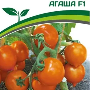 Томат Агаша F1 0,05 г. Семена Партнер
