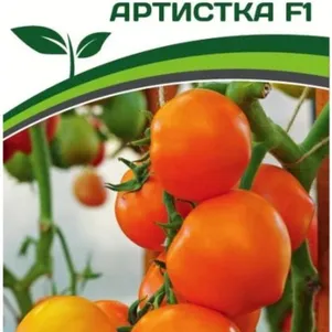 Томат Артистка F1 0,05 г. Семена Партнер