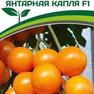 Томат Янтарная Капля F1 10 шт. Семена Партнер