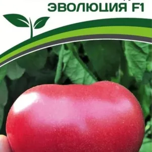 Томат Эволюция F1 10 шт. Семена Партнер