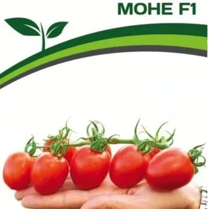 Томат Моне F1 10 шт. Семена Партнер