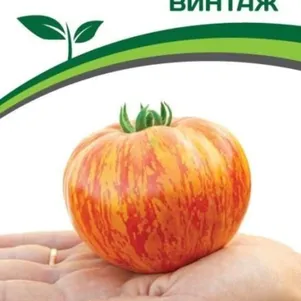 Томат Винтаж 10 шт. Семена Партнер