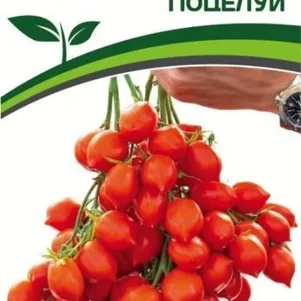 

Томат Поцелуй 10 шт. Семена Партнер