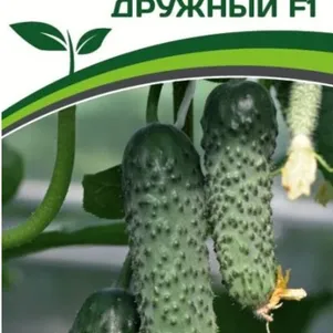 Огурец Дружный F1 10 шт. Семена Партнер