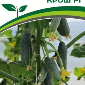 Огурец Крош F1 5 шт Семена Партнер 277₽