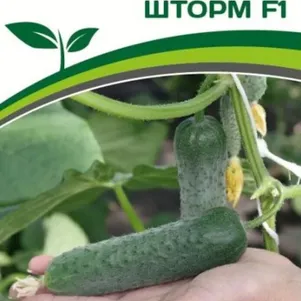 

Огурец Шторм F1 10 шт. Семена Партнер