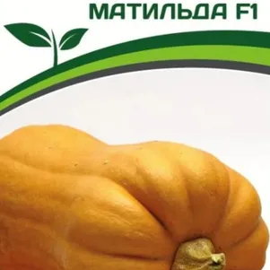 Тыква Матильда F1 5 шт Семена Партнер 169₽