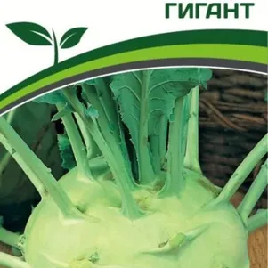 Кольраби Гигант 05 г Семена Партнер 32₽