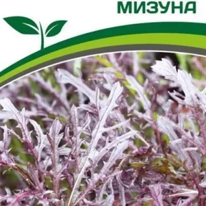 

Японская капуста Мизуна 1 г, Семена Партнер