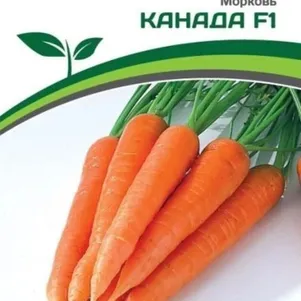 Морковь Канада F1 05 г Семена Партнер 149₽