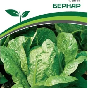 

Салат Бернар кочанный 0,5 г, Семена Партнер