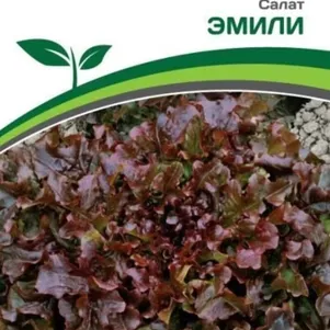 Салат Эмили листовой 1 г Семена Партнер 79₽