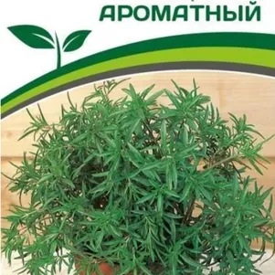 Чабер Ароматный садовый 0,5 г. Семена Партнер
