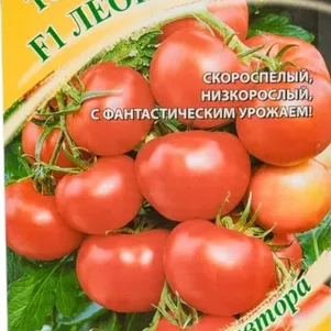 

Томат Леопольд F1 12 шт, Семена Гавриш