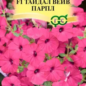 Петуния Парпл F1 (Минитуния) суперкаскадная (серТайдал Вейв) 4 шт. гранулы, Семена Гавриш
