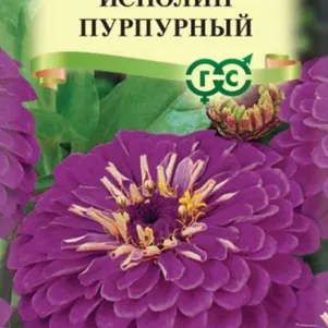 

Цинния Исполин пурпурный 0,3 г ЦП, Семена Гавриш