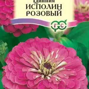Цинния Исполин розовый 0,3 г (серия Розовые сны) ЦП, Семена Гавриш