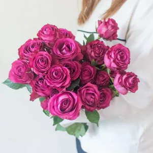 Роза Блуберри чайно-гибридная 390₽