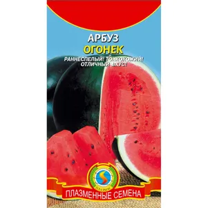 Арбуз Огонек 1 г Плазменные семена 26₽