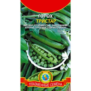 Горох Тристар 8 г, Плазменные семена