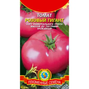 

Томат Розовый Гигант 20 шт, Плазменные семена