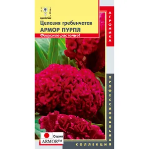 Целозия Пурпл гребенчатая (серия Armor) 10 шт, Плазменные семена