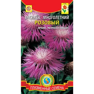 Василек Розовый многолетний 10 шт, Плазменные семена
