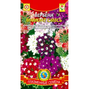 Вербена Мамонт смесь 0,1 г, Пазменные семена