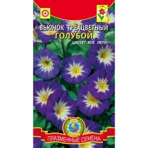 Вьюнок Трехцветный Голубой 0,5 г, Плазменные семена